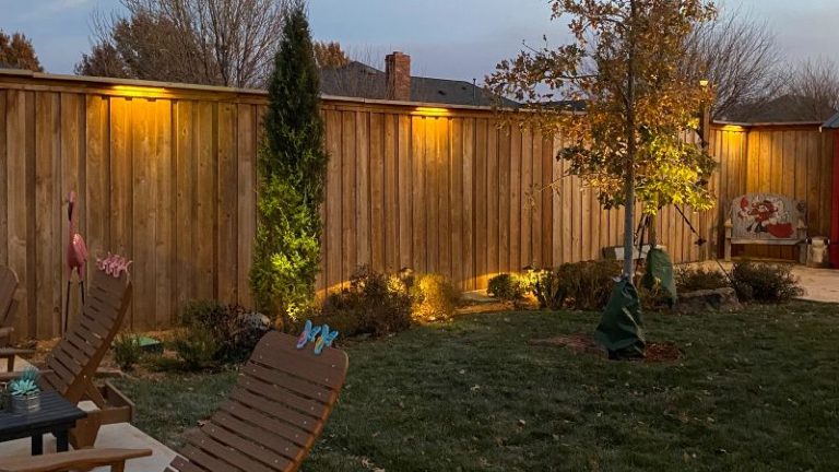 How To Light Up Your Backyard