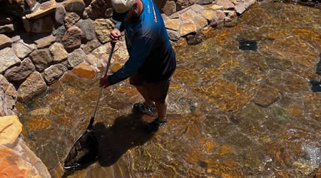 Pond Cleaning Services
