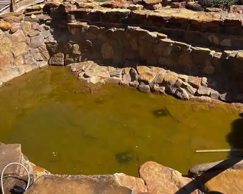 Pond Cleaning Services