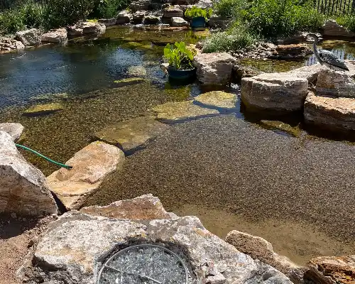 Pond Installation Contractor