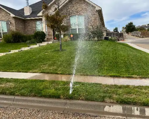Sprinkler and Irrigation System Installations